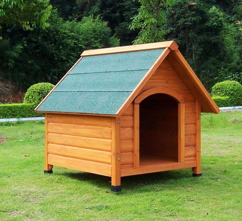 Dog Kennels Cover Image