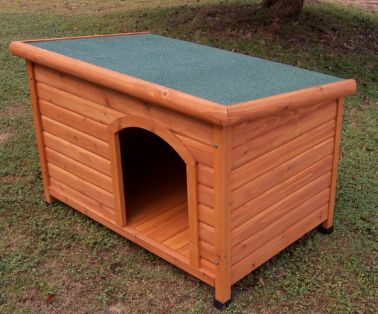 Dog Kennel Medium Cover Photo