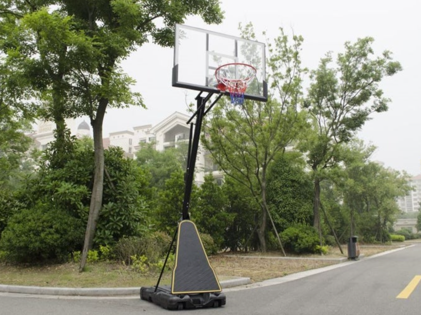 Basketball Hoop Pro With Background Photo