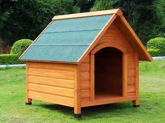 Dog Kennel Large Cover Photo